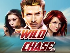 wild chase